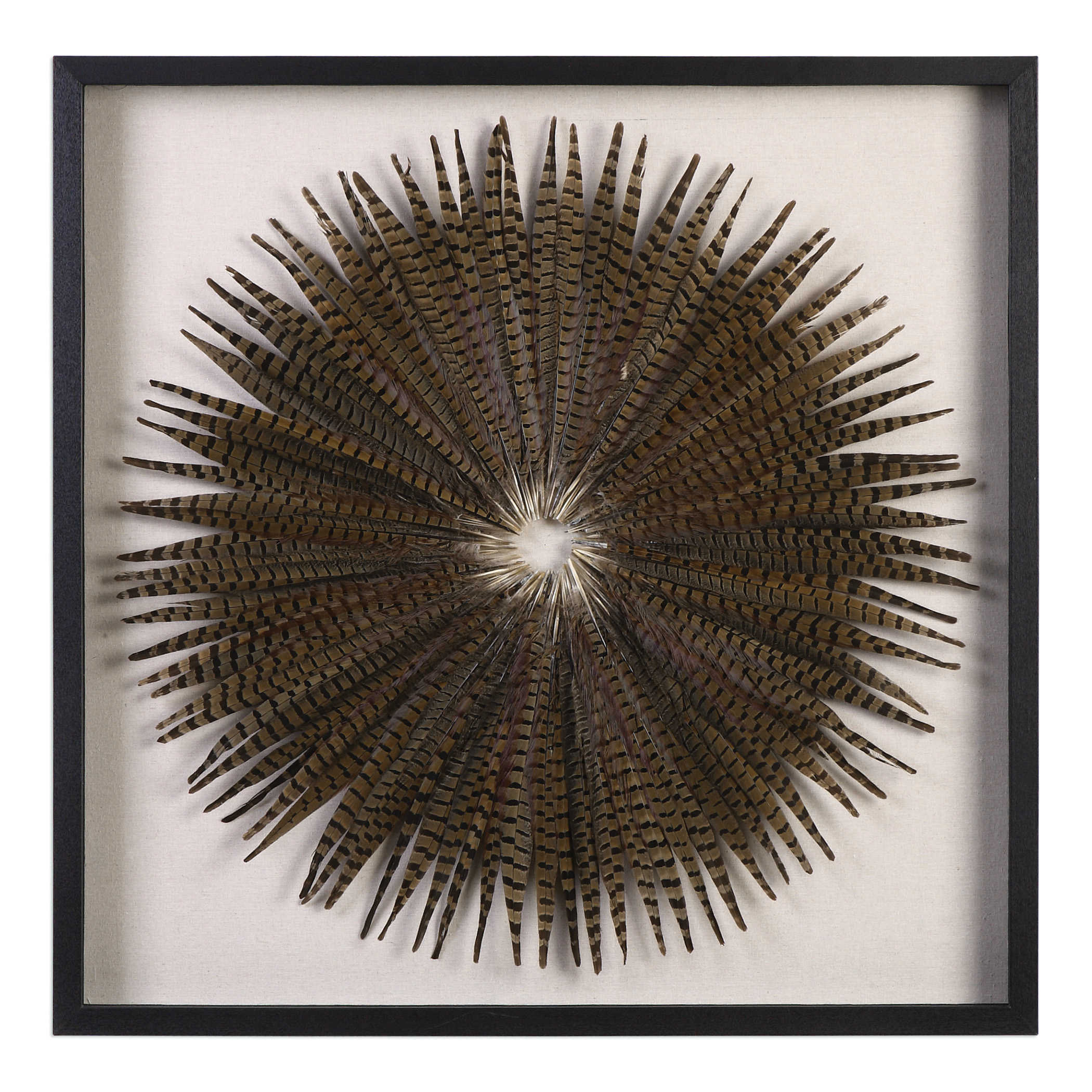 Feather Burst Shadow Box by Uttermost