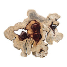 Geller Wood Wall Decor in Blonde by Uttermost