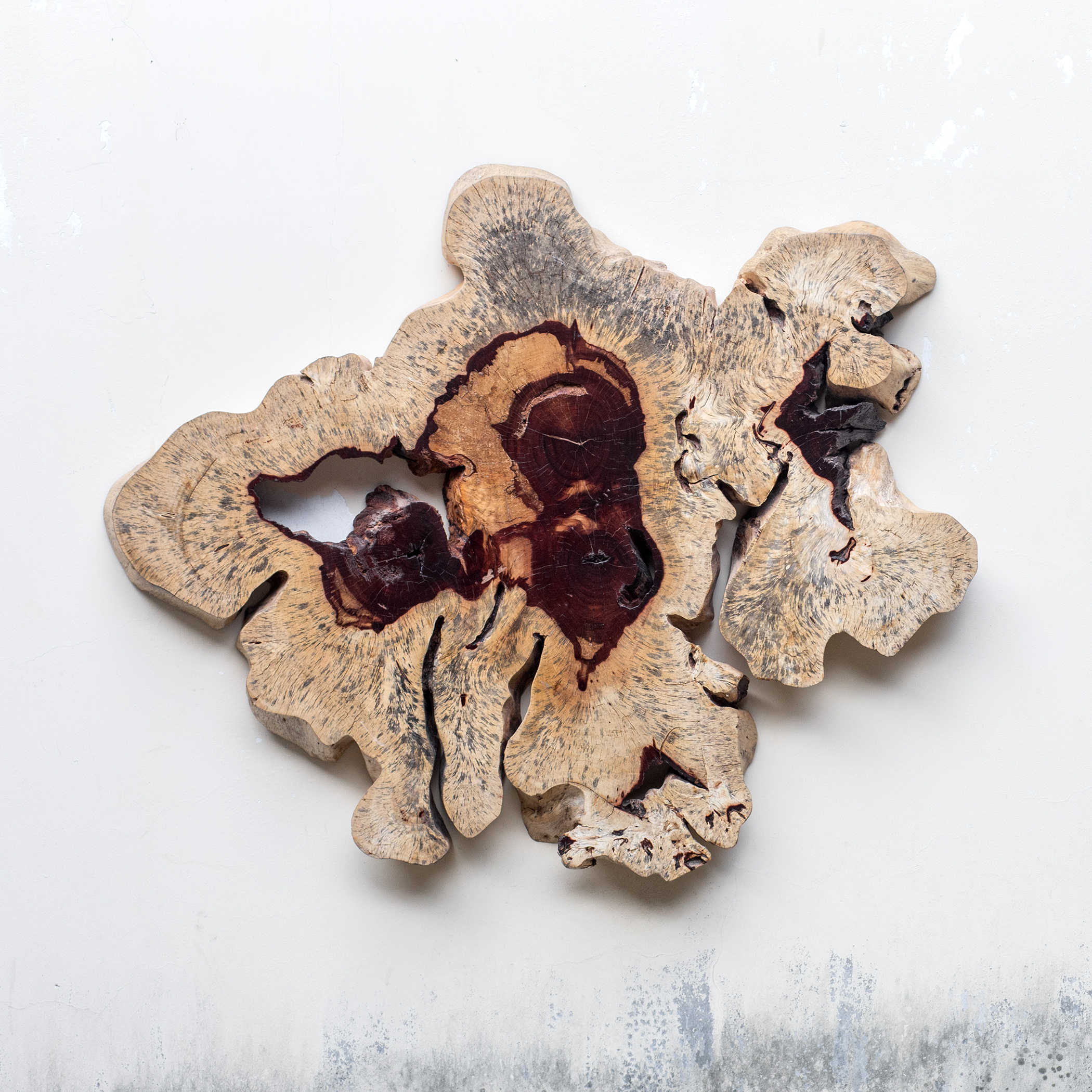 Geller Wood Wall Decor in Blonde by Uttermost