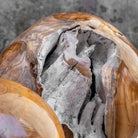 Teak Rounds - Set of 2 by Uttermost