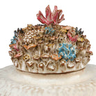 Sea Garden Jar Uttermost