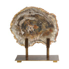 Petrified Wood Sculpture by Uttermost