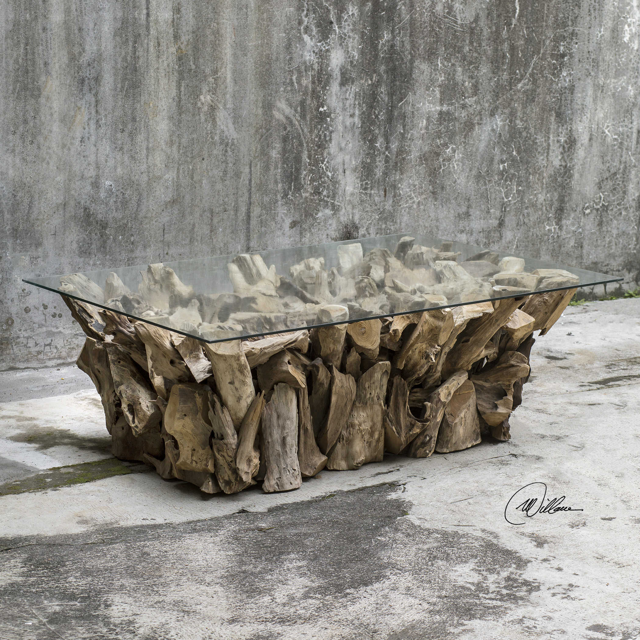 Teak Root Coffee Table by Uttermost