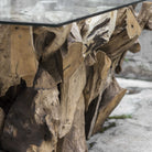 Teak Root Coffee Table by Uttermost