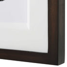 Entangle Framed Prints - Set of 2 by Uttermost