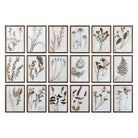 Botany Framed Prints - Set of 18 by Uttermost