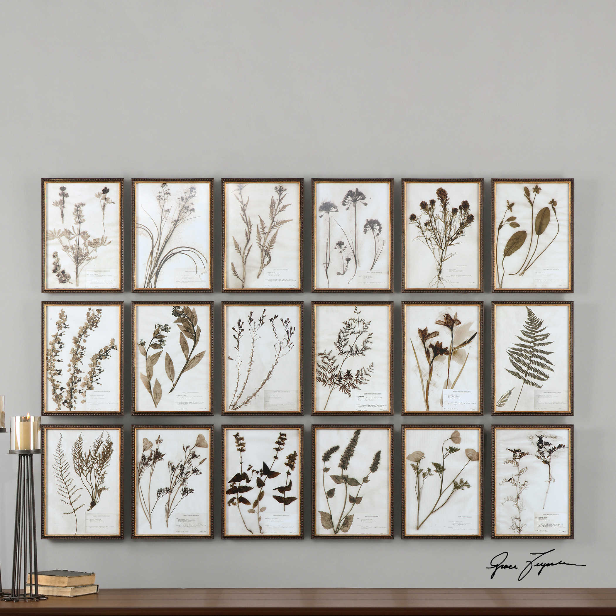 Botany Framed Prints - Set of 18 by Uttermost
