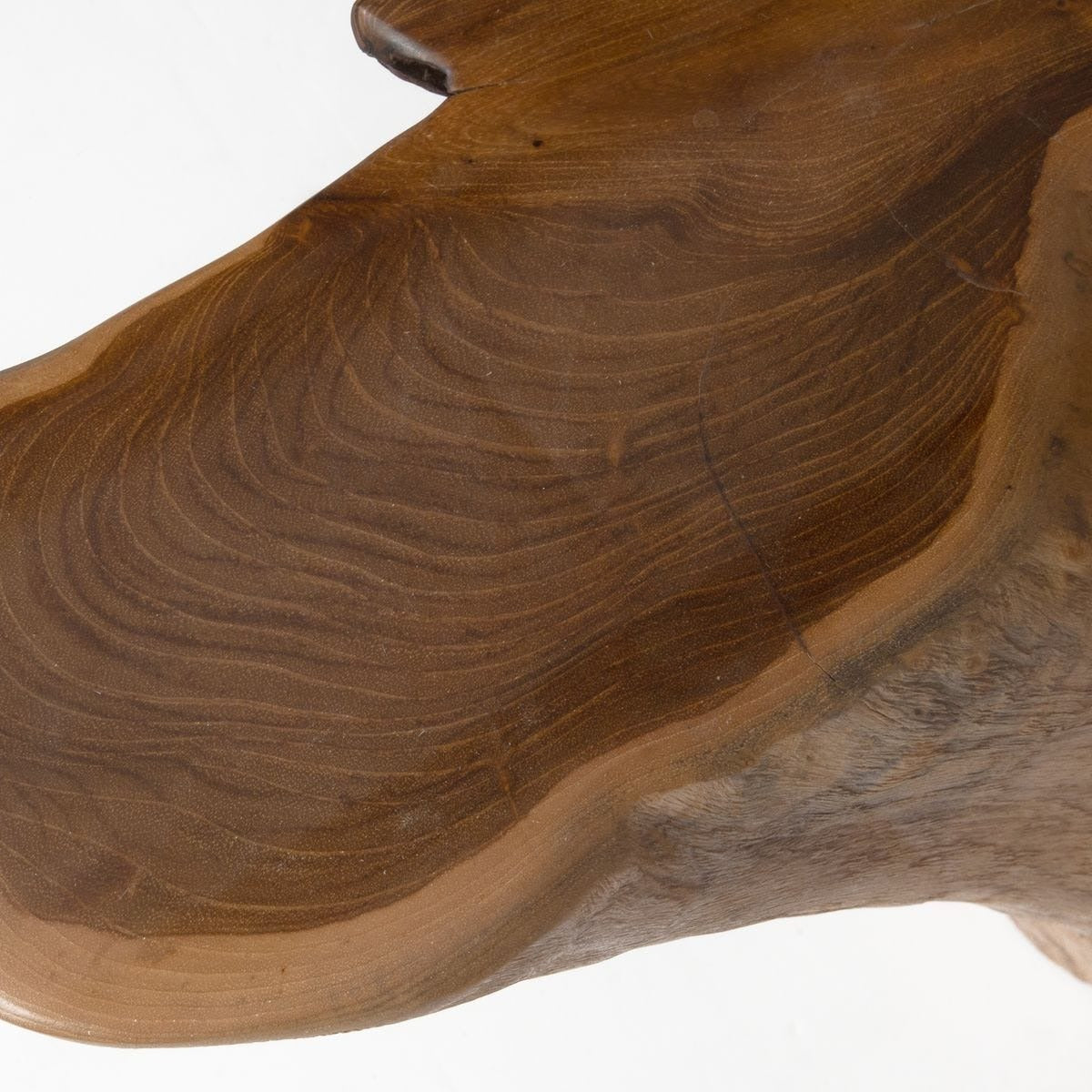 Timber Coffee Table by Uttermost