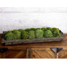 Heath Preserved Moss Tray by Uttermost