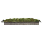 Heath Preserved Moss Tray by Uttermost