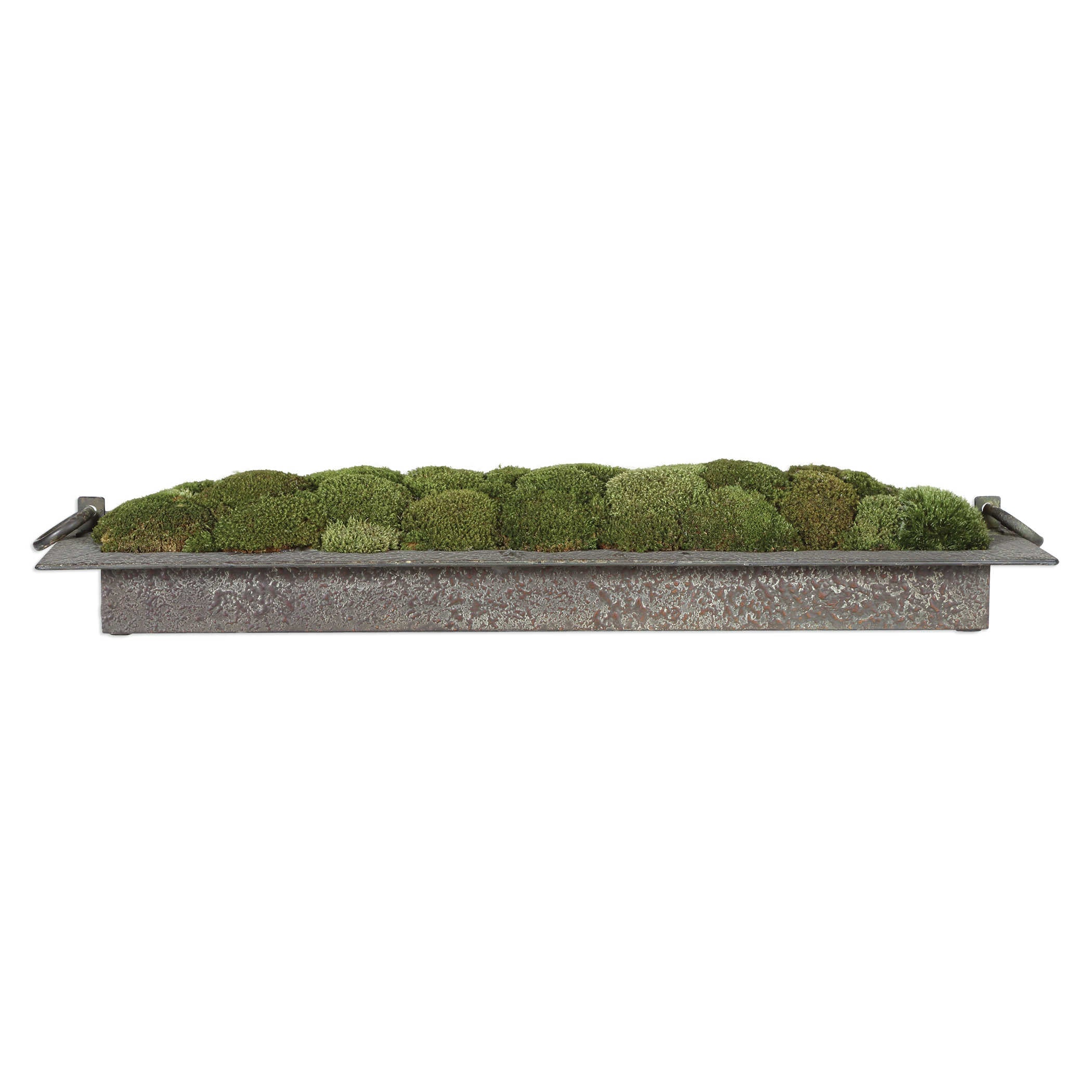 Heath Preserved Moss Tray by Uttermost