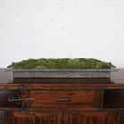 Heath Preserved Moss Tray by Uttermost