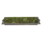 Heath Preserved Moss Tray by Uttermost