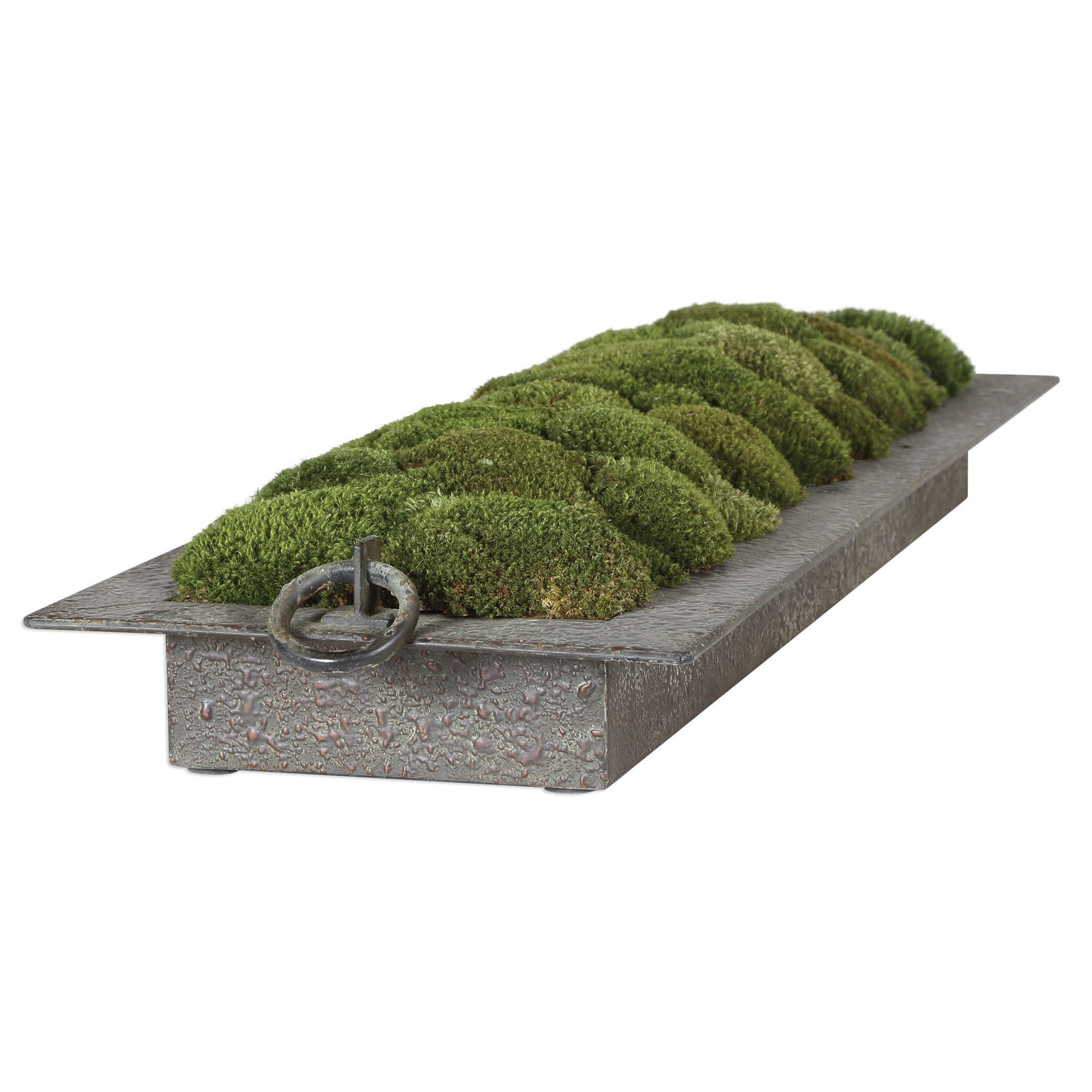 Heath Preserved Moss Tray by Uttermost