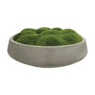 Cale Moss Centerpiece by Uttermost