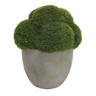 Cale Moss Accent by Uttermost