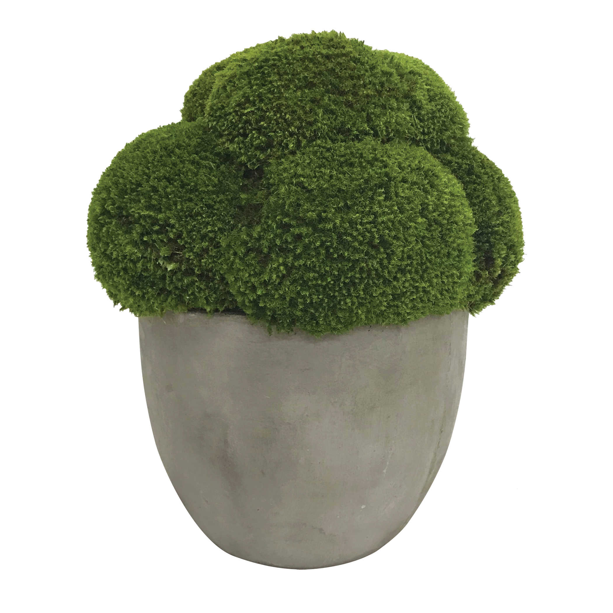 Cale Moss Accent by Uttermost