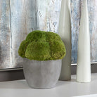 Cale Moss Accent by Uttermost