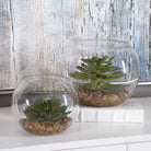 Eloy Terrariums - Set of 2 by Uttermost