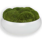 Gratia Moss Centerpiece by Uttermost