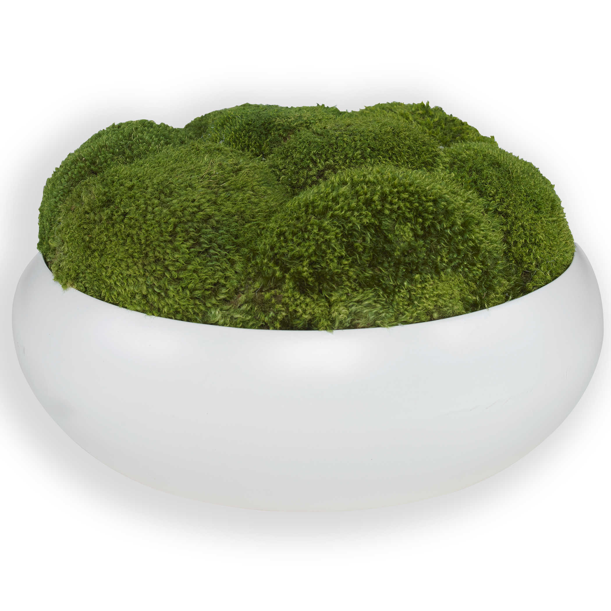 Gratia Moss Centerpiece by Uttermost
