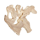 Terrains Wood Wall Décor by Uttermost