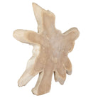 Terrains Wood Wall Décor by Uttermost