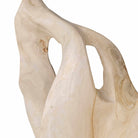 Hollow Form Indoor-Outdoor Teak Sculpture by Uttermost