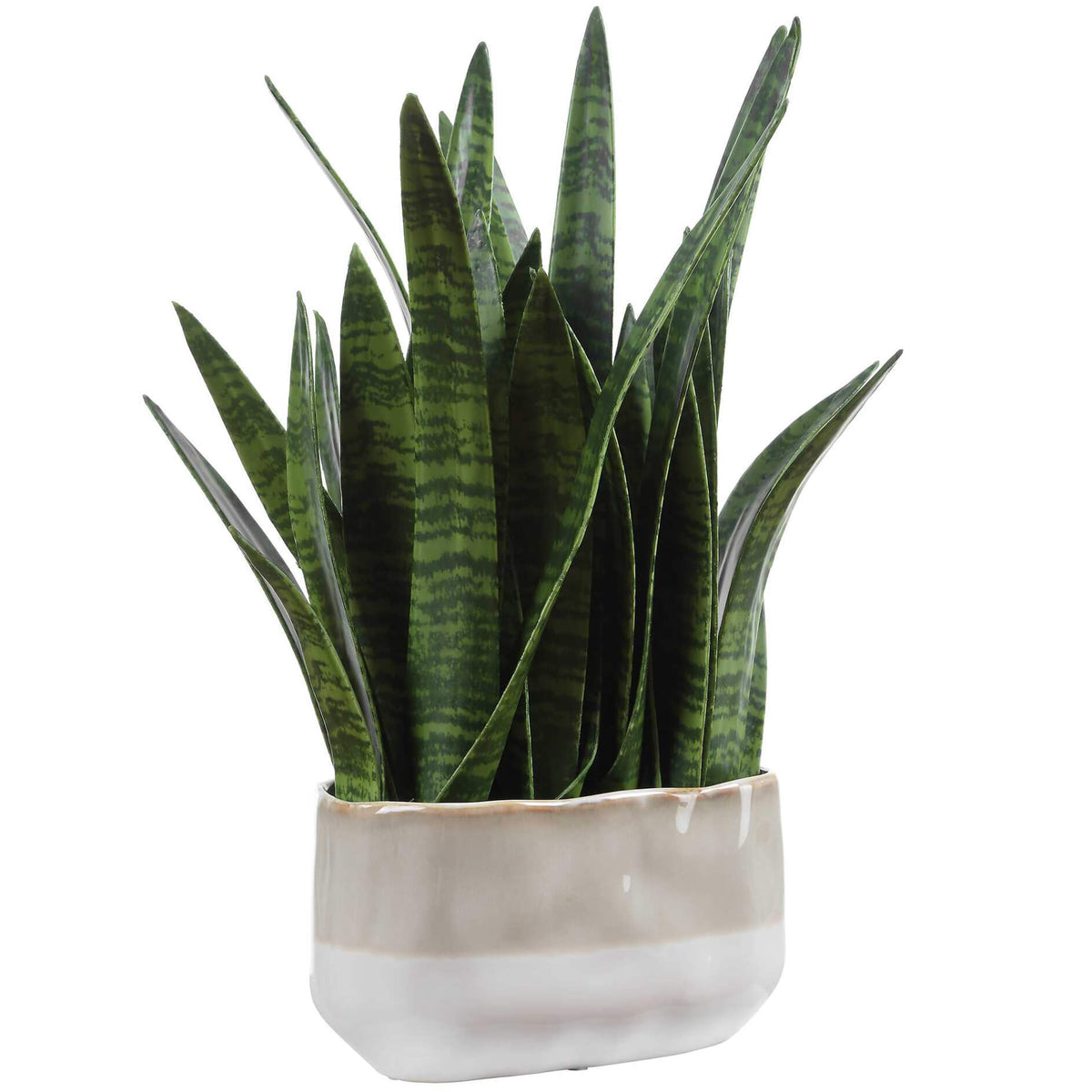 Sansera Snake Accent Plant Uttermost