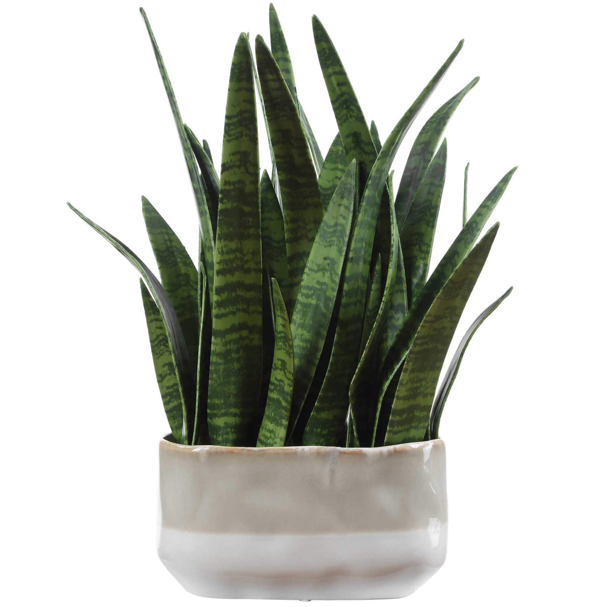 Sansera Snake Accent Plant Uttermost