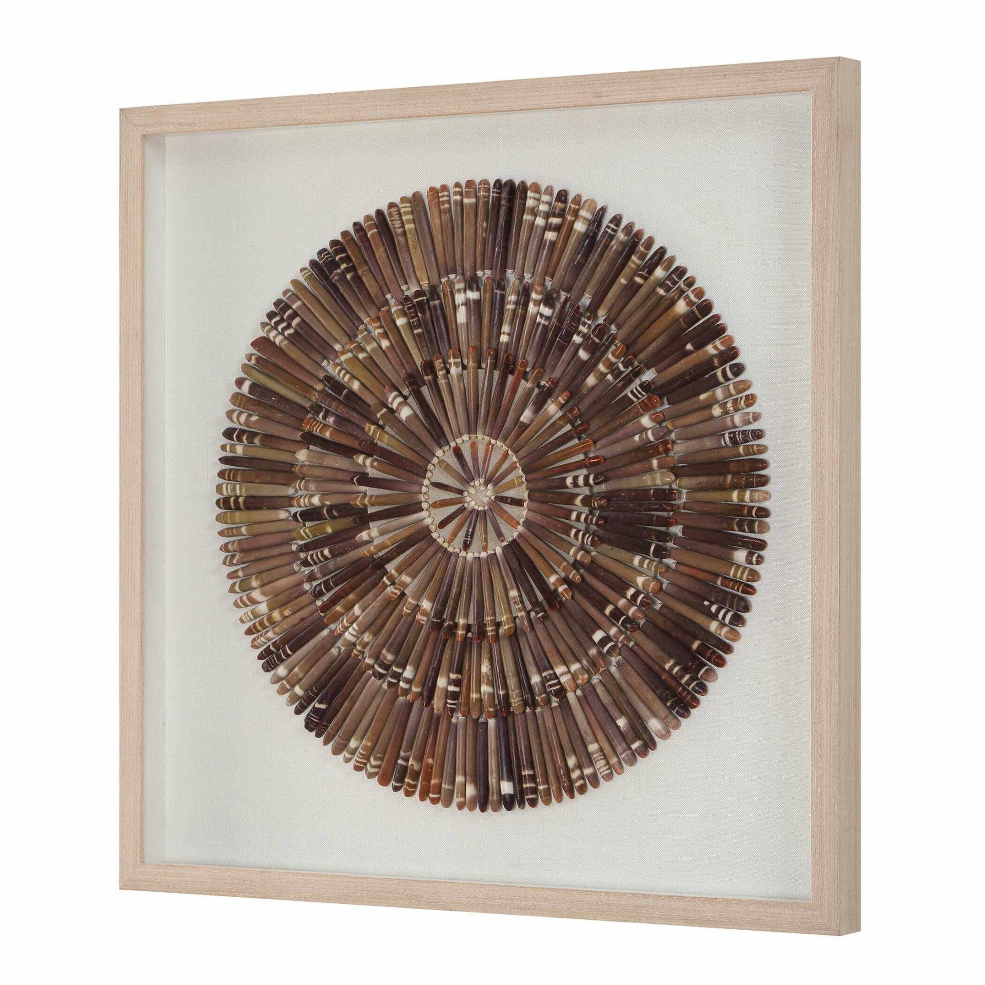 Tiger Sea Urchin Shadow Box by Uttermost