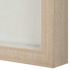 Tiger Sea Urchin Shadow Box by Uttermost