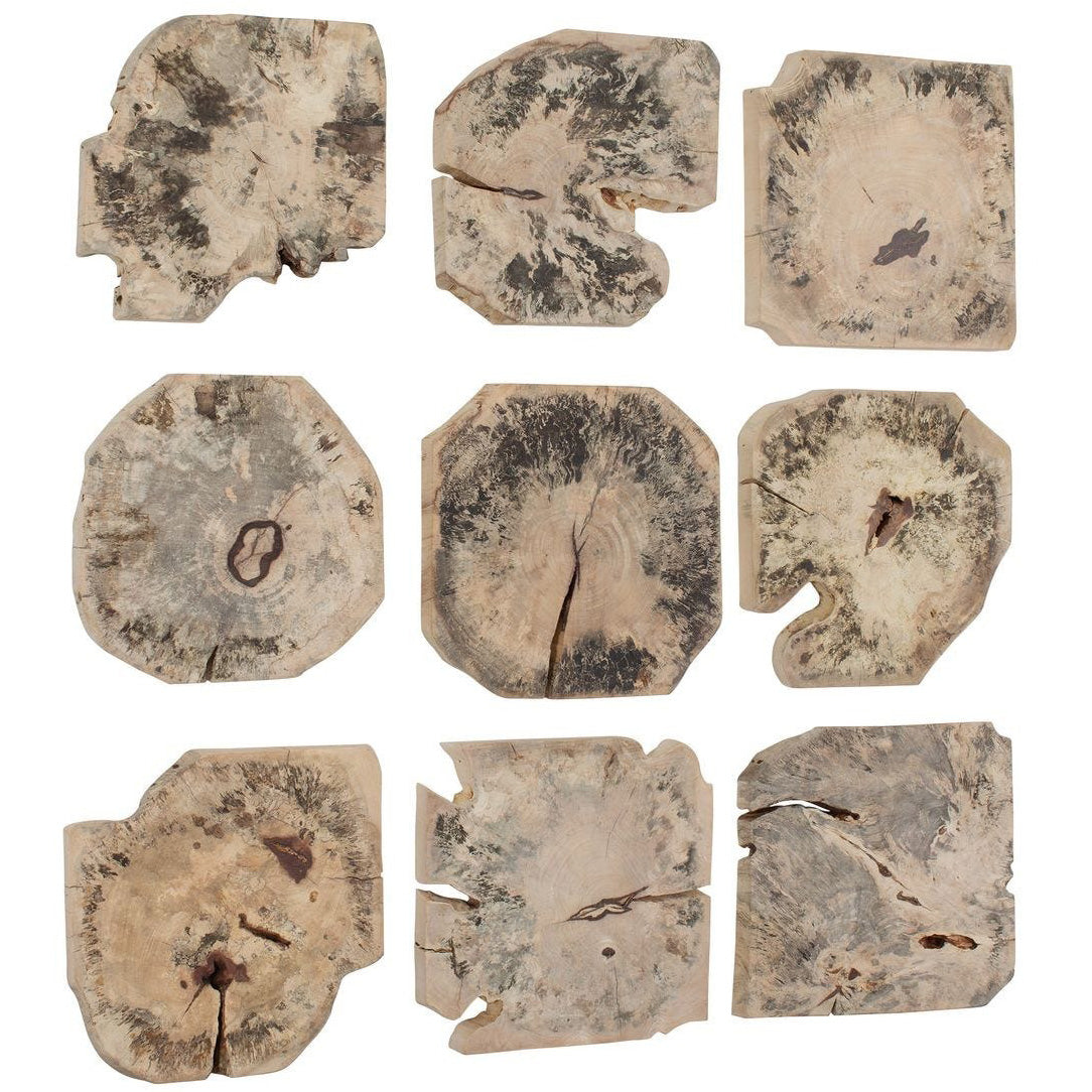 Bahati Wood Bleached Wall Decor - Set of 9 by Uttermost