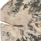Bahati Wood Bleached Wall Decor - Set of 9 by Uttermost