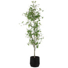 Boreal Potted Birch Tree by Uttermost