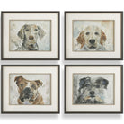 Dog Days Framed Prints - Set of 4 by Uttermost
