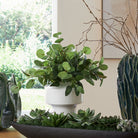 Essence Eucalyptus Accent and Vase by Uttermost