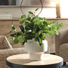 Essence Eucalyptus Accent and Vase by Uttermost