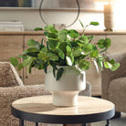 Essence Eucalyptus Accent and Vase by Uttermost
