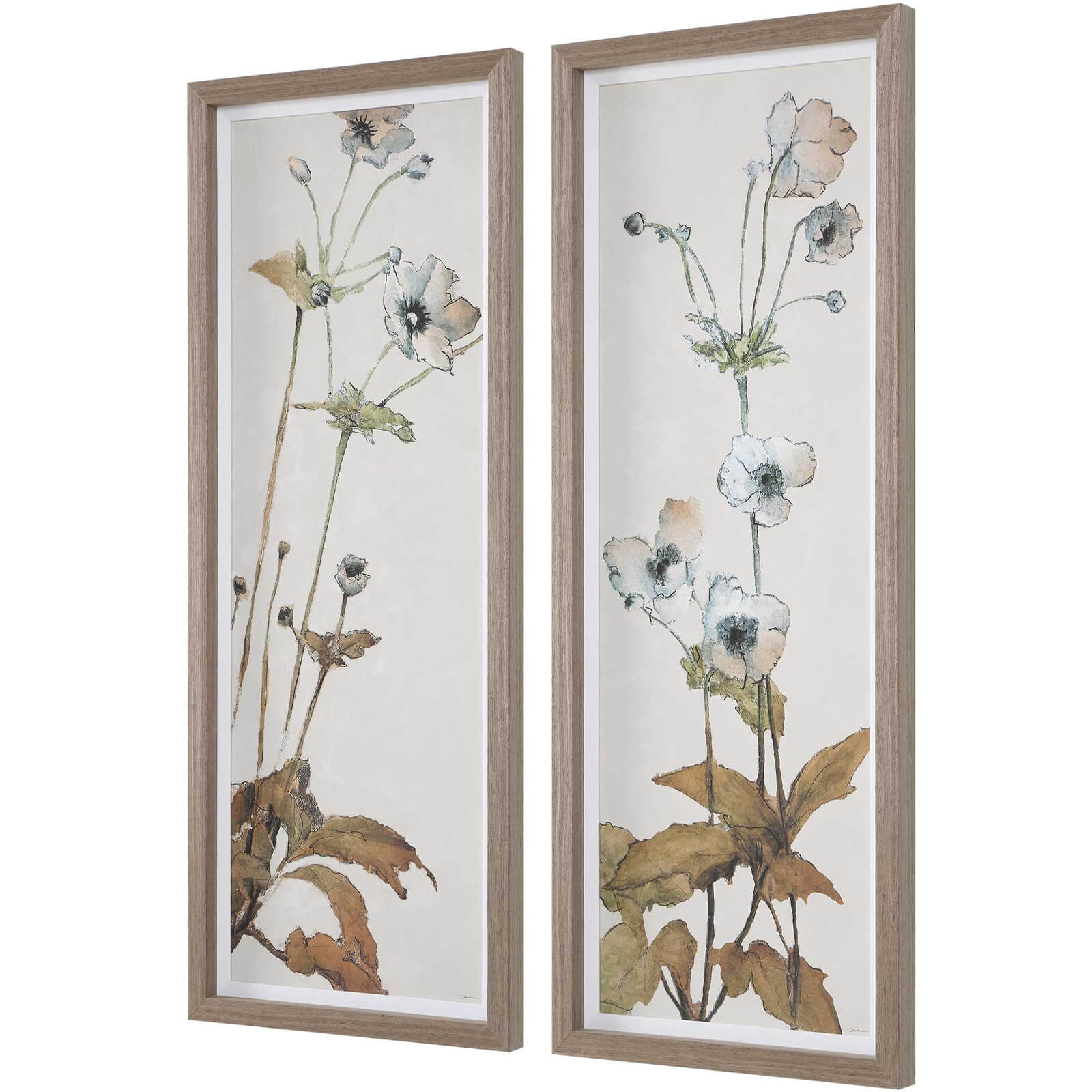 Garden Study Framed Floral Prints - Set of 2 by Uttermost