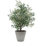 Marisol Potted Olive Plant by Uttermost