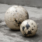 Nouveau Coral Stone Decorative Spheres - Set of 2 by Uttermost