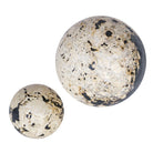 Nouveau Coral Stone Decorative Spheres - Set of 2 by Uttermost