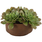 Sable Succulent Accent In Pot by Uttermost