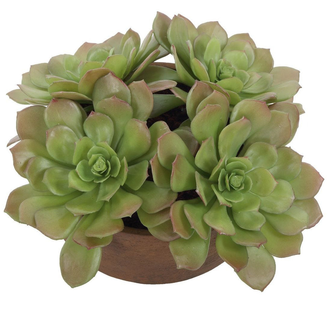 Sable Succulent Accent In Pot by Uttermost