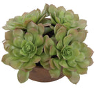 Sable Succulent Accent In Pot by Uttermost