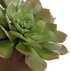 Sable Succulent Accent In Pot by Uttermost