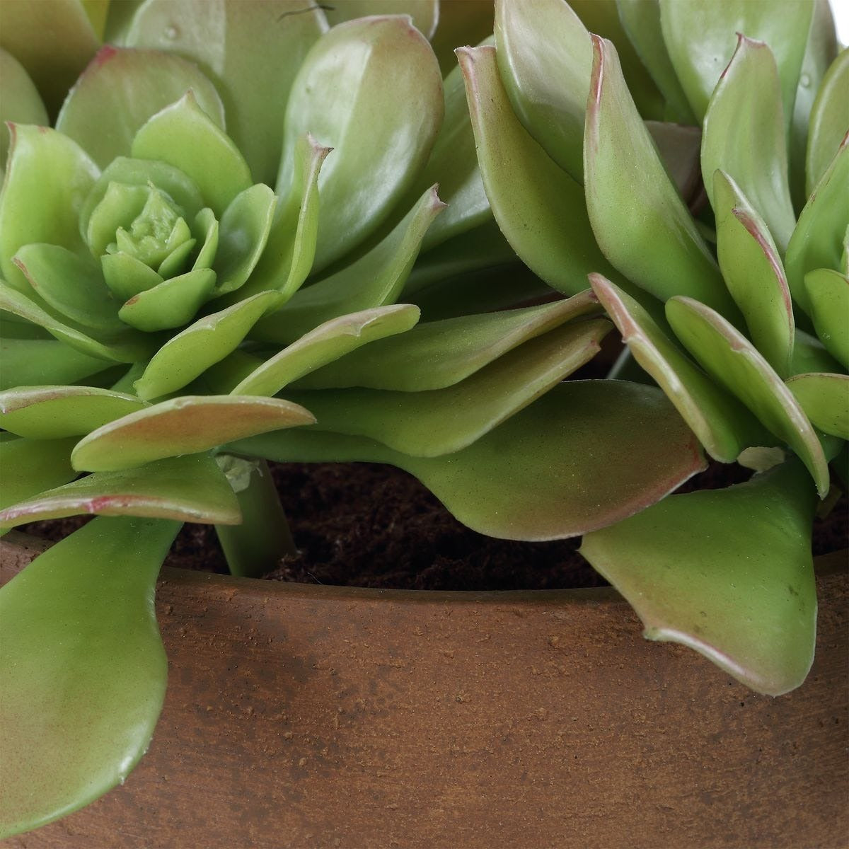 Sable Succulent Accent In Pot by Uttermost