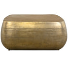 Saguaro Indoor-Outdoor Coffee Table by Uttermost
