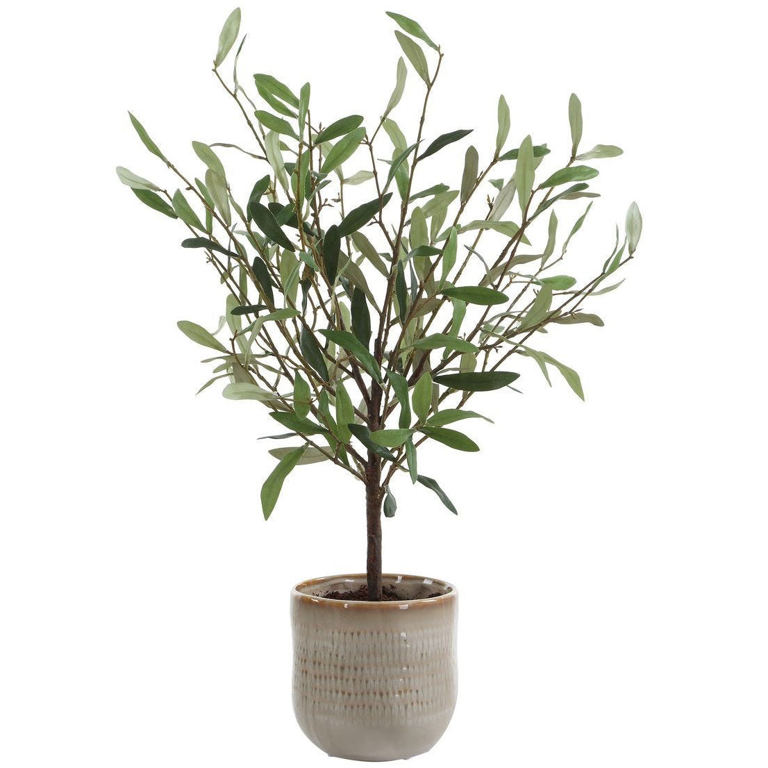 Solea Olive Accent and Textured Vase by Uttermost
